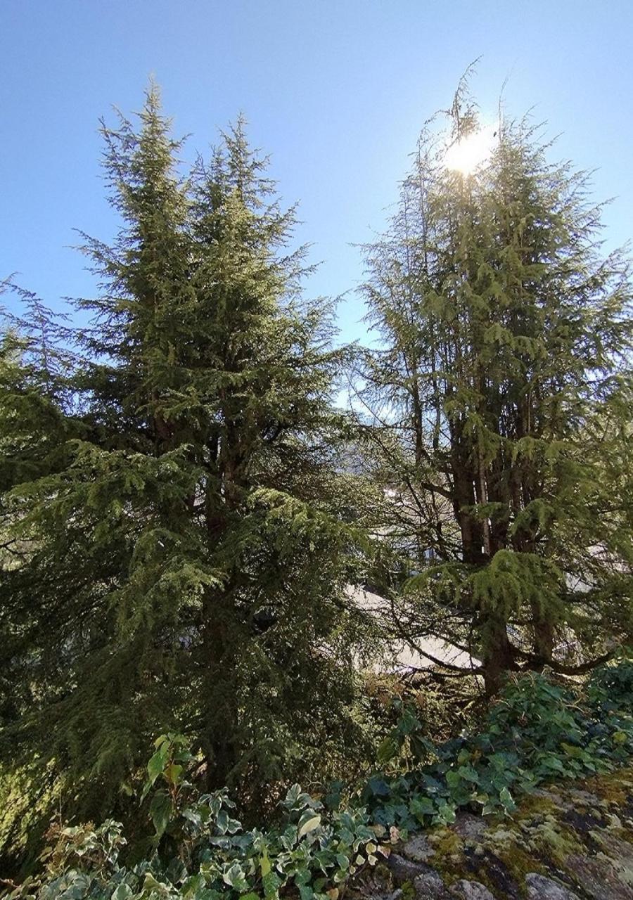 Appartement Le Welcome Argeles-Gazost Luaran gambar